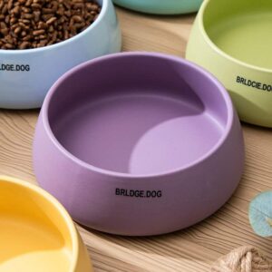 Pet Feeding Bowl