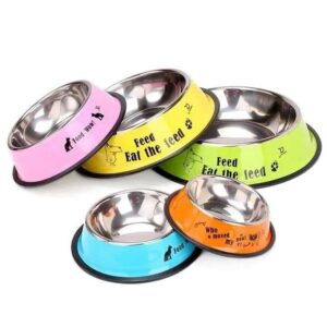 Pet Feeding Bowl